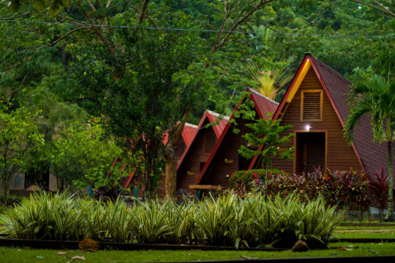 Discover Zongo Waterfalls